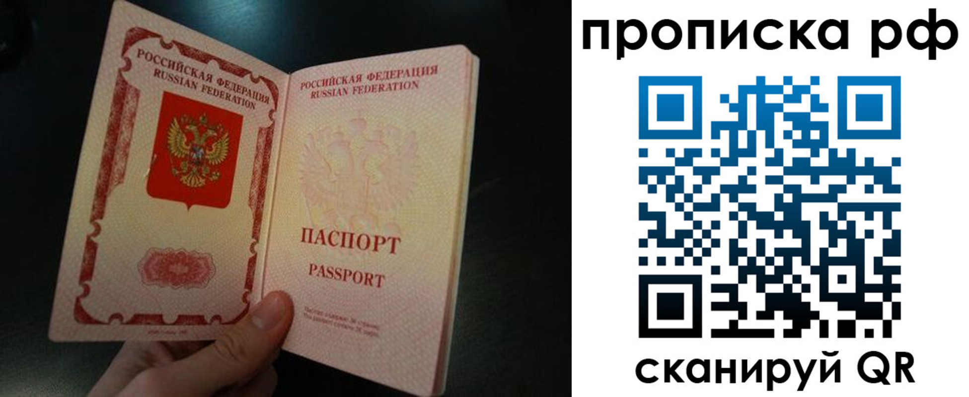 прописка законно в Купино